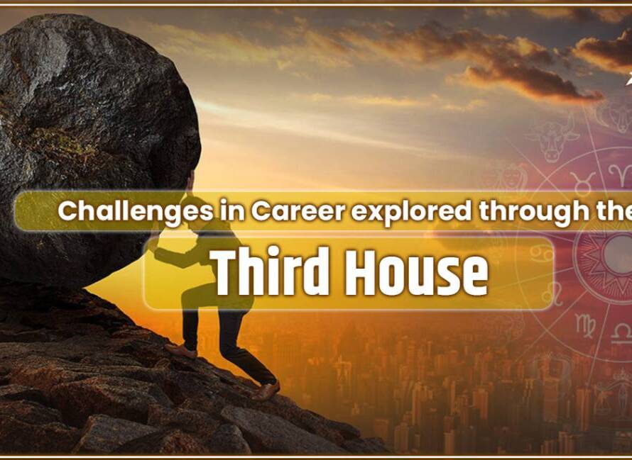 Career in Third House